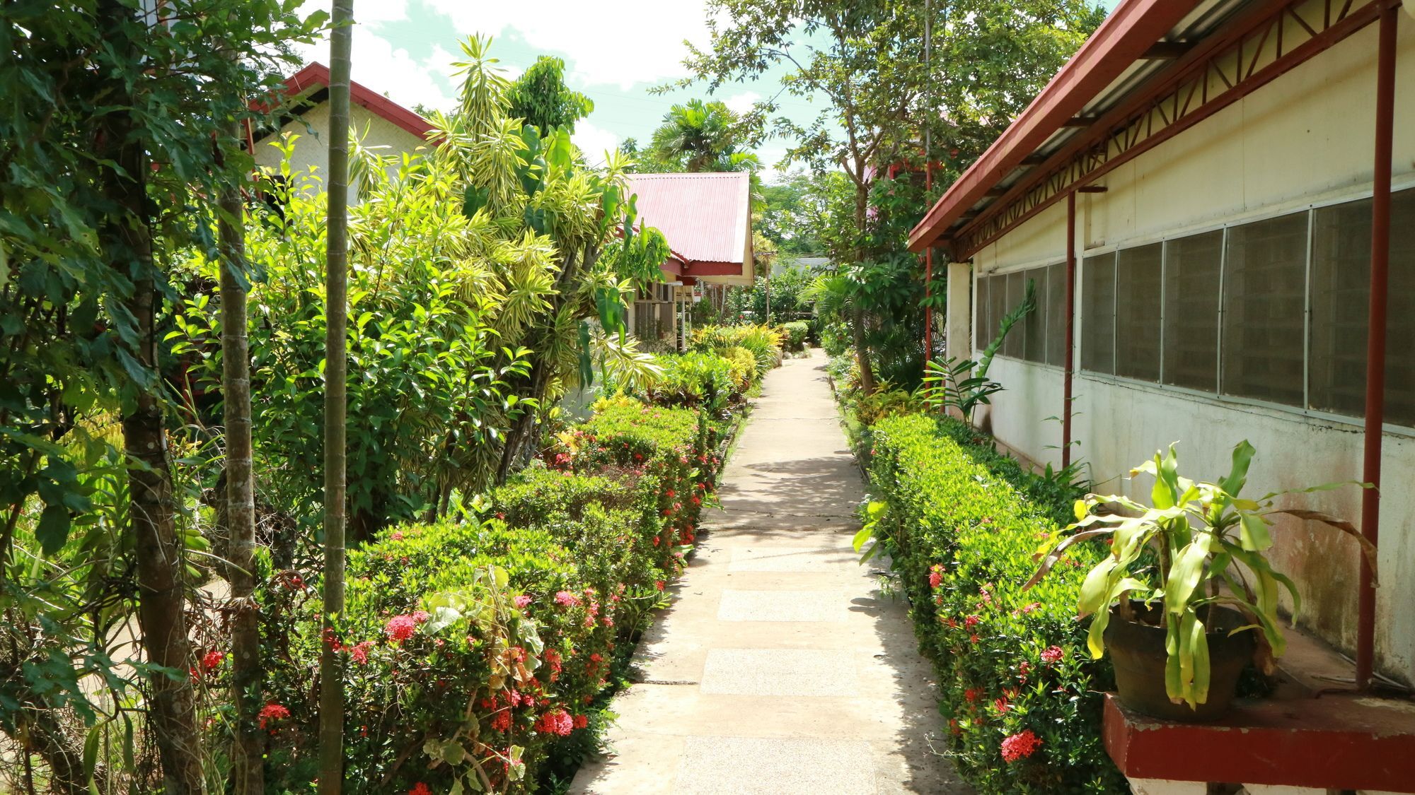 Bulwagang Princesa Tourist Inn Puerto Princesa Extérieur photo